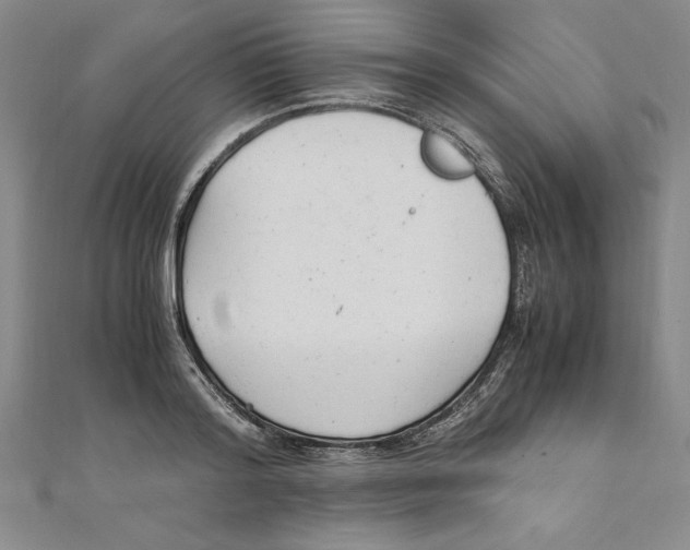 X0000111210796200907291250