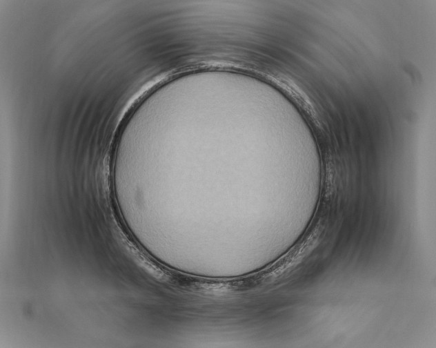 X0000111210798200907291250