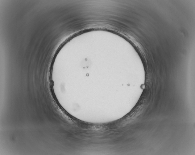 X0000111210799200907291250