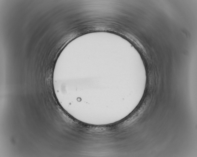 X0000111210801200907291250