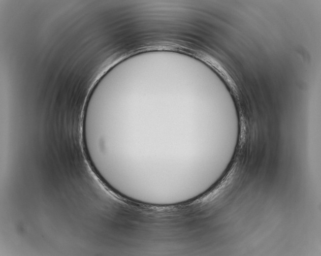 X0000111210802200907291250