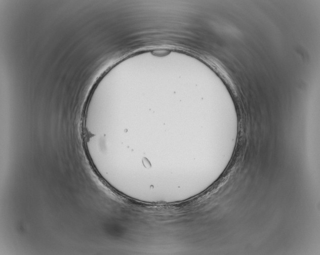 X0000111210805200907291250