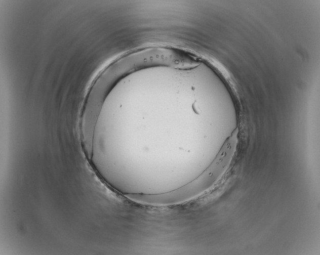 X0000111210807200907291250