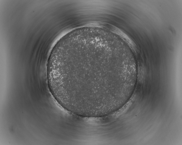 X0000111210808200907291250