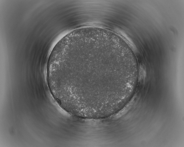 X0000111210812200907291250