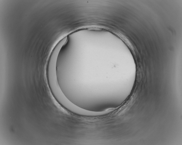 X0000111210813200907291250