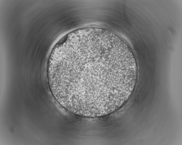 X0000111210816200907291250