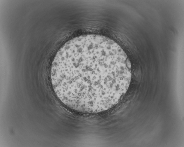 X0000111210817200907291249
