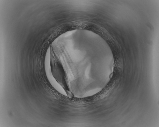 X0000111210818200907291249