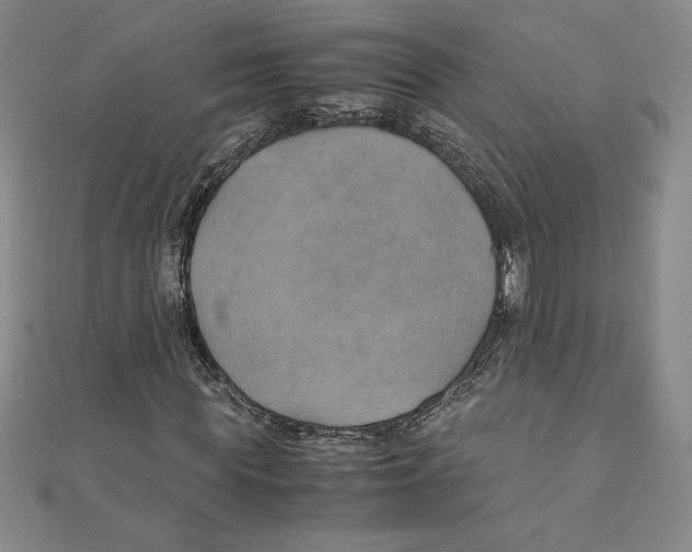 X0000111210819200907291249