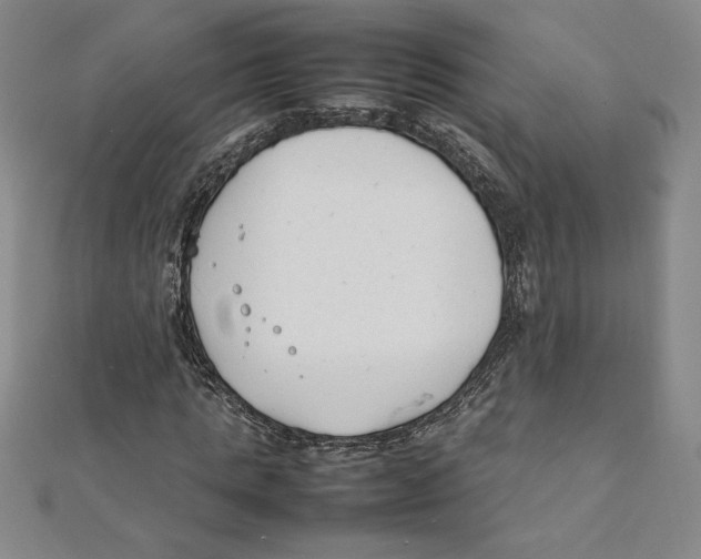 X0000111210821200907291249