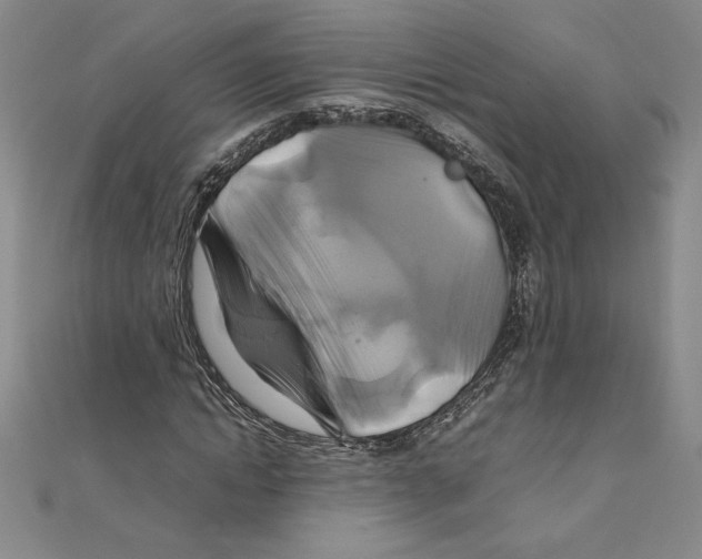 X0000111210822200907291249