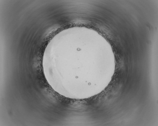 X0000111210824200907291249