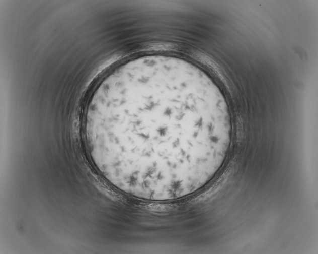 X0000111210827200907291249