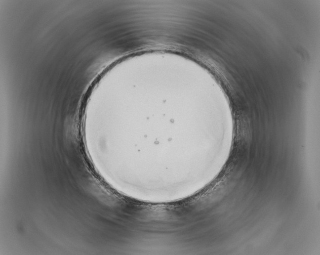 X0000111210828200907291249