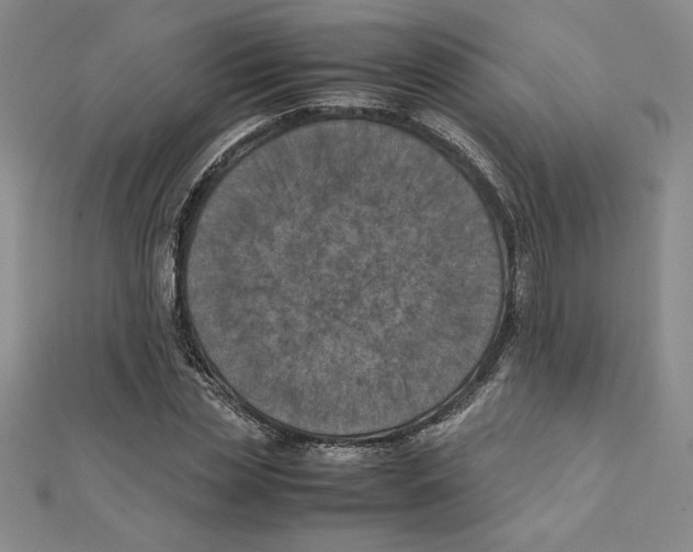 X0000111210829200907291249