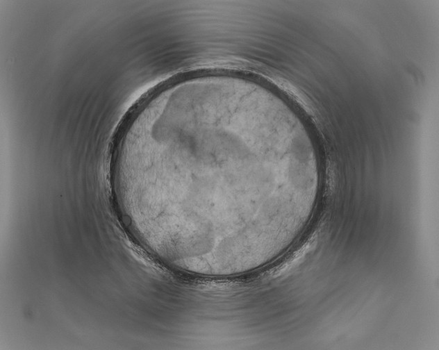 X0000111210830200907291249