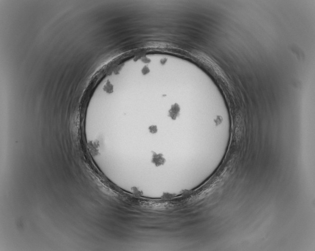 X0000111210831200907291249