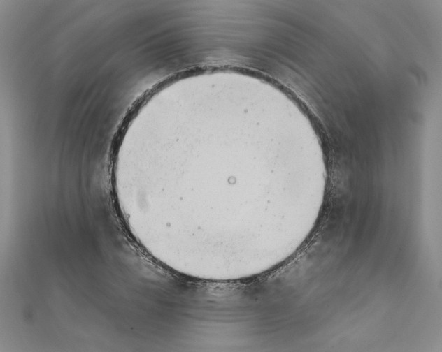 X0000111210832200907291249