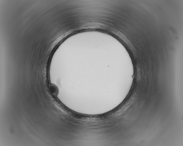 X0000111210834200907291249