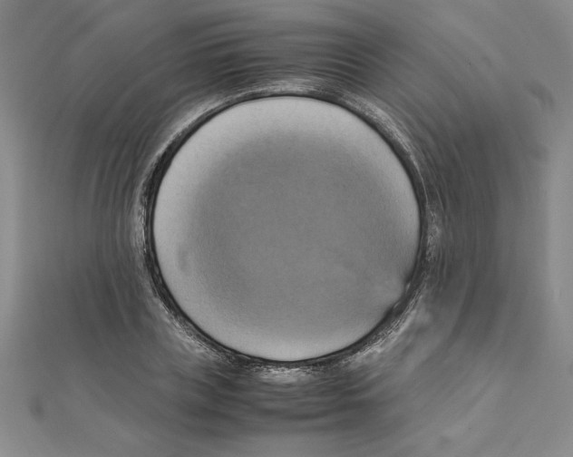 X0000111210835200907291249