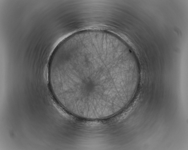 X0000111210838200907291250