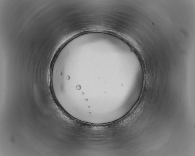 X0000111210839200907291250