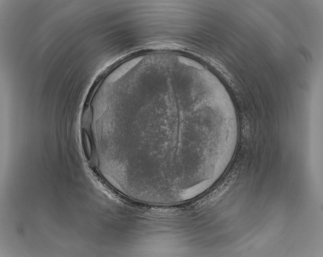 X0000111210840200907291250