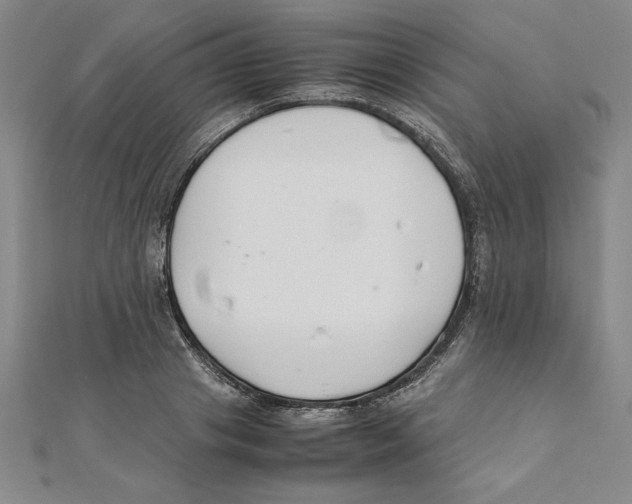 X0000111210841200907291250