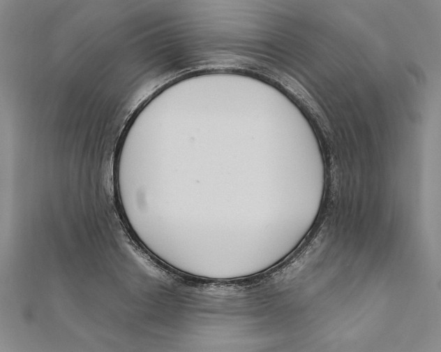 X0000111210842200907291250