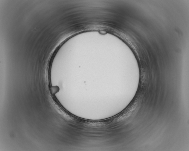 X0000111210843200907291250