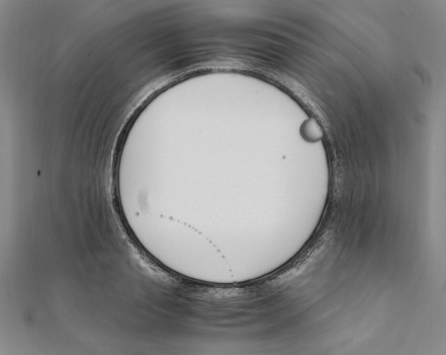 X0000111210845200907291250