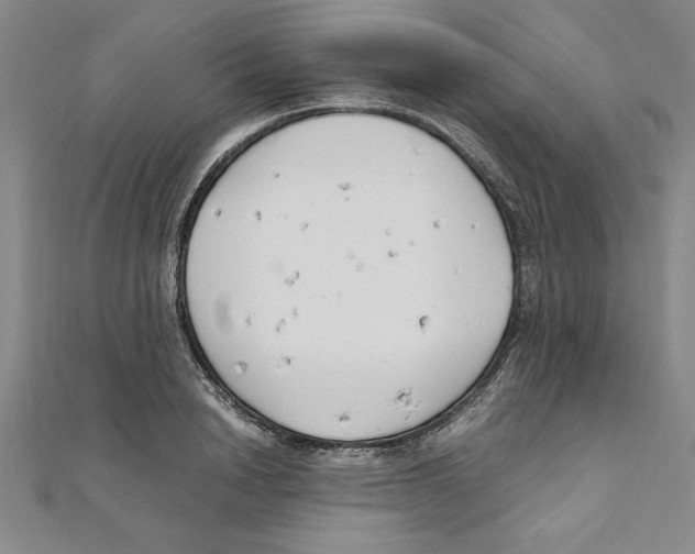 X0000111210846200907291250