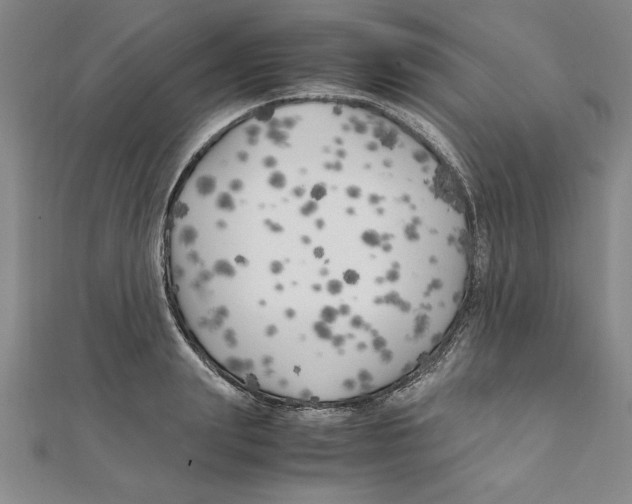 X0000111210847200907291250