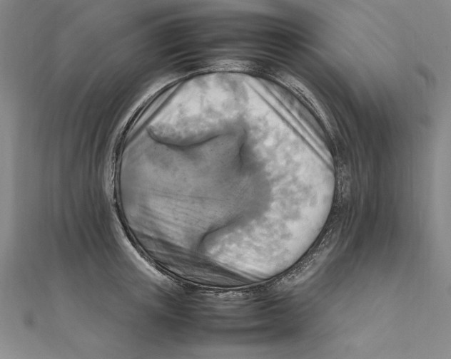 X0000111210851200907291250