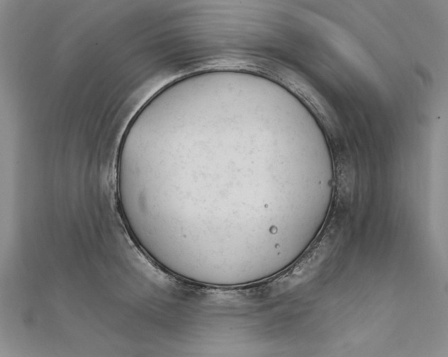 X0000111210852200907291250