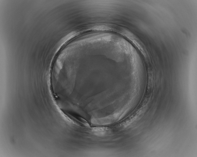 X0000111210853200907291250