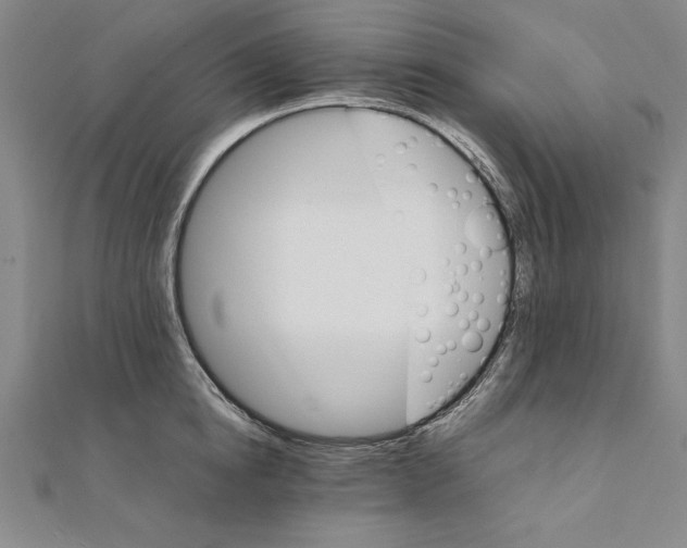 X0000111210854200907291250