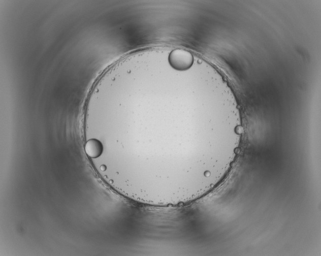 X0000111210856200907291250