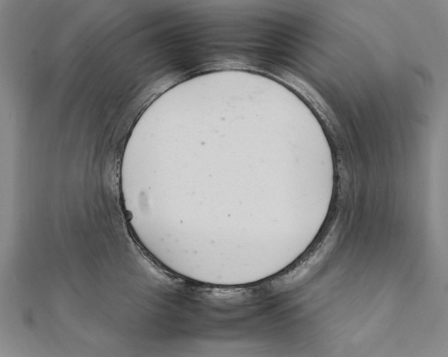 X0000111210857200907291250