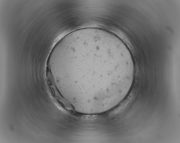 X0000111210858200907291250