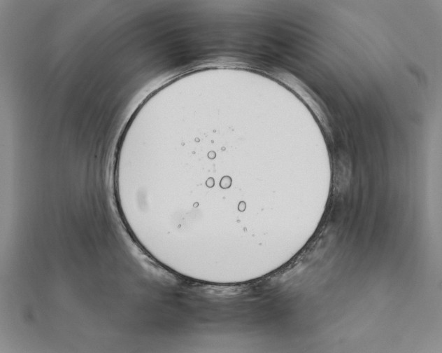 X0000111210861200907291250