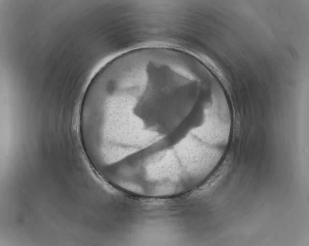 X0000111210862200907291250