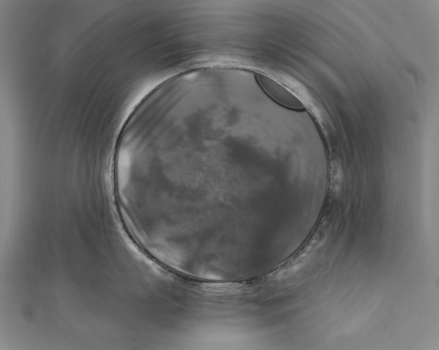 X0000111210863200907291250