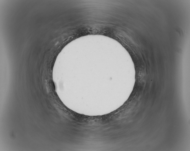 X0000111210865200907291249