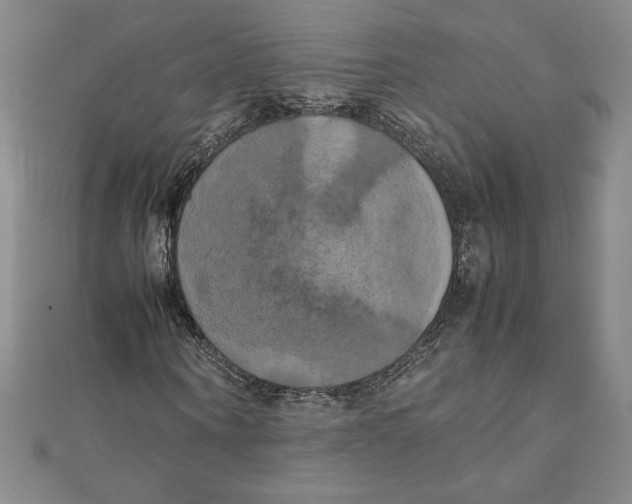 X0000111210866200907291249