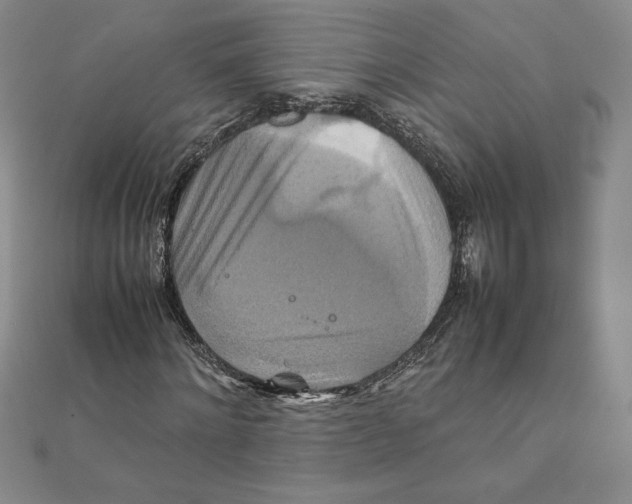 X0000111210868200907291249