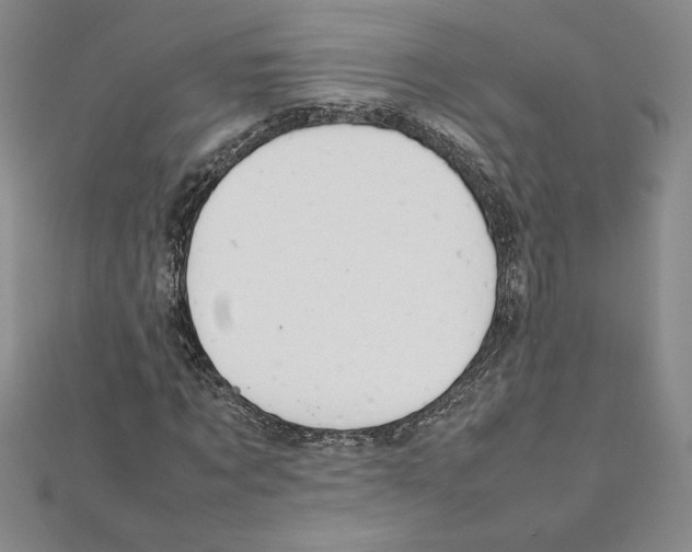 X0000111210869200907291249