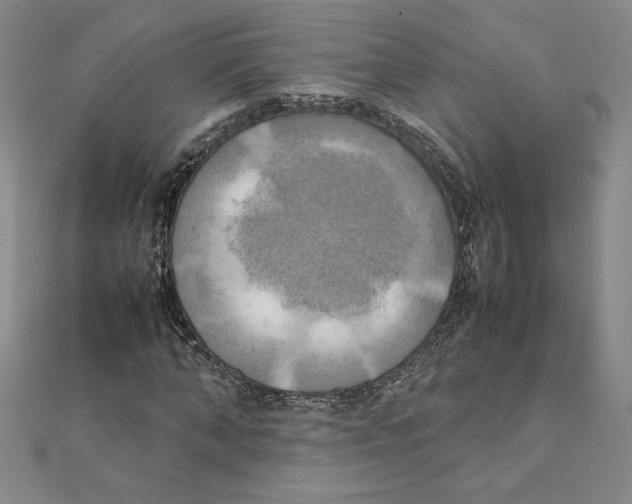 X0000111210870200907291249