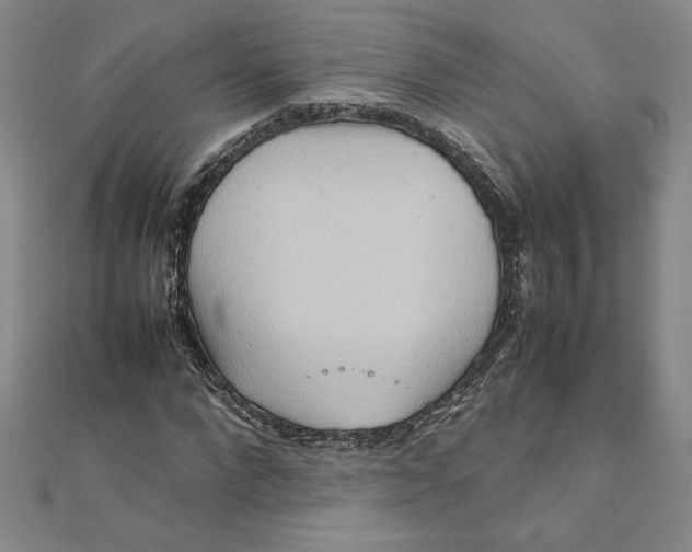 X0000111210872200907291249